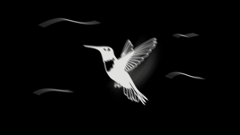 Kolibri Animation
