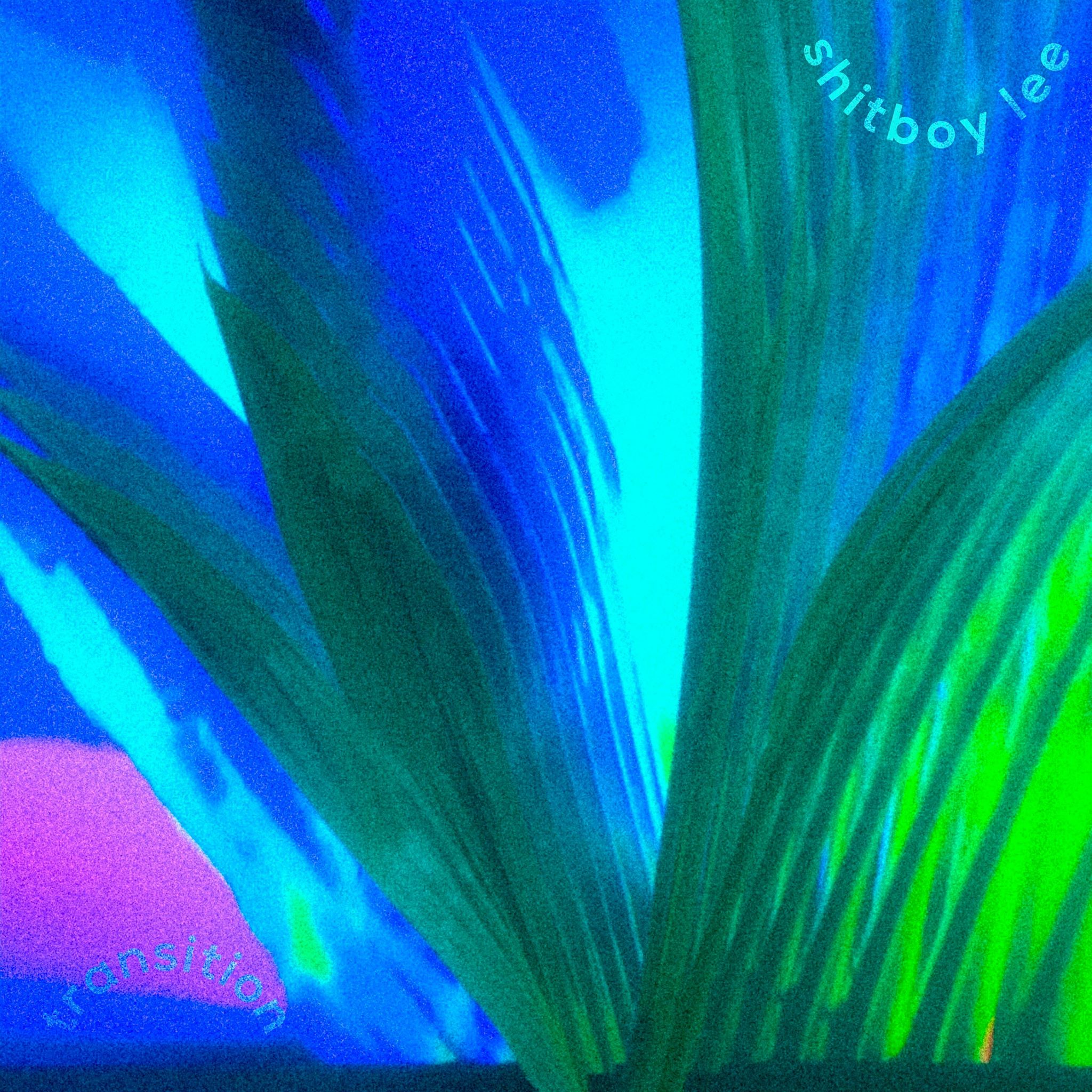 Transition Album Cover Alt